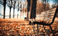 Una panchina in un parco d'autunno