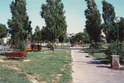 Aldo Moro Garden